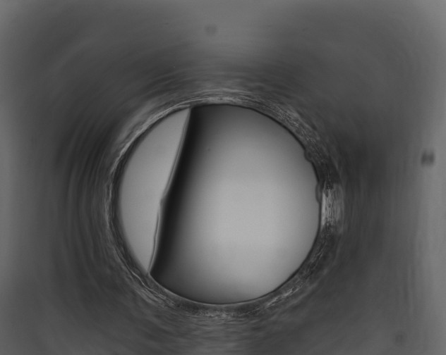X0000090420291200707130952