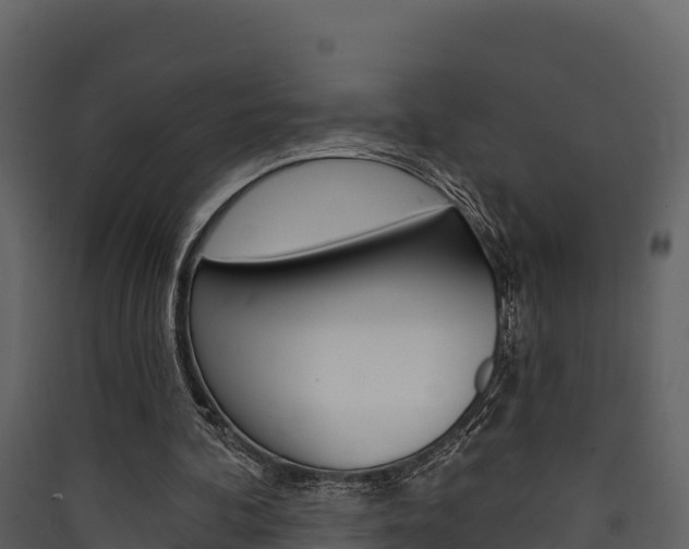 X0000090420292200707130952