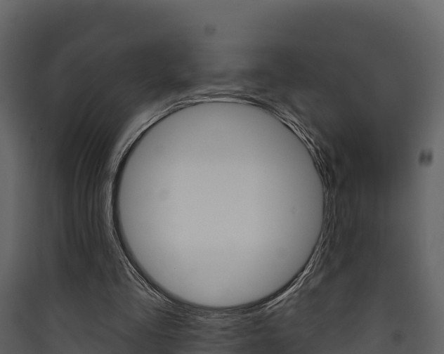 X0000090420293200707130952