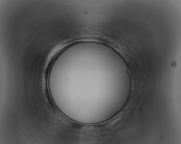 X0000090420294200707130952