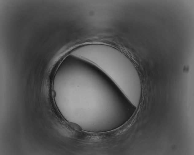 X0000090420295200707130952