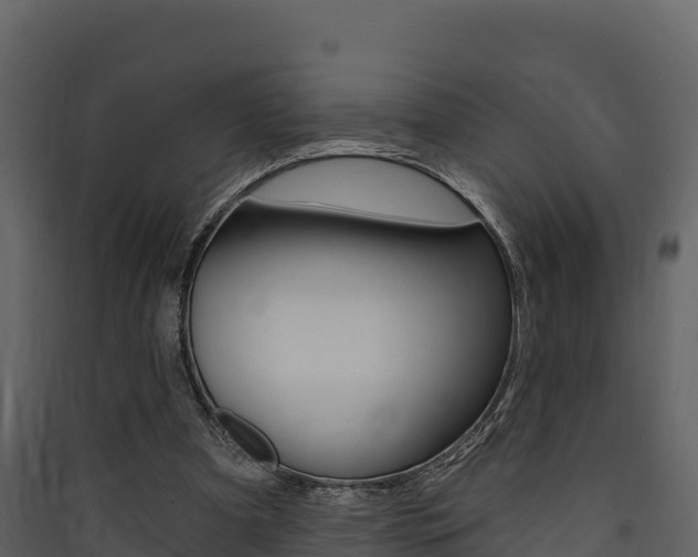 X0000090420297200707130952