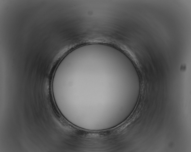 X0000090420298200707130952