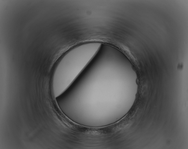 X0000090420299200707130952