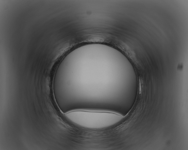 X0000090420300200707130952