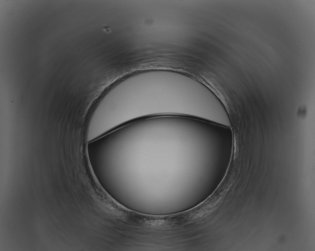 X0000090420301200707130952