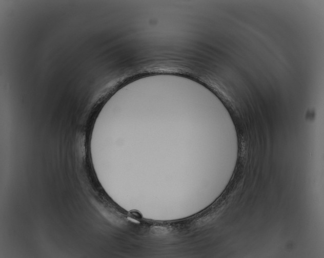 X0000090420302200707130952