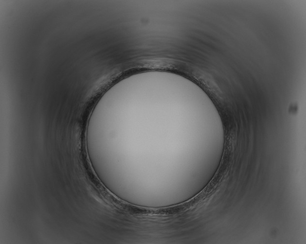 X0000090420303200707130952