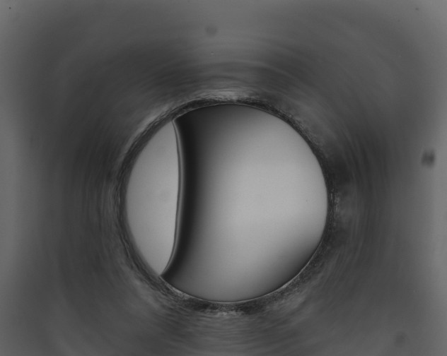 X0000090420304200707130952