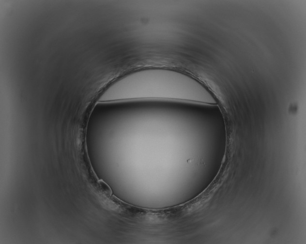 X0000090420305200707130952