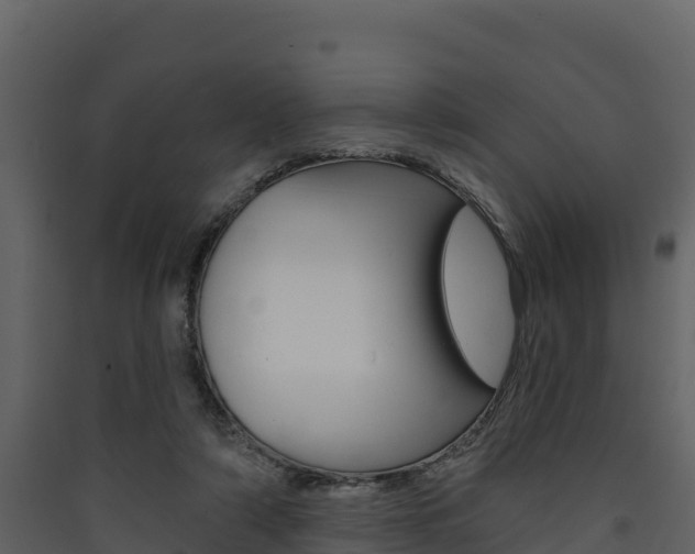 X0000090420306200707130952