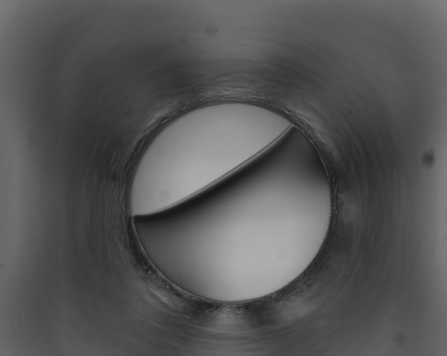 X0000090420308200707130952