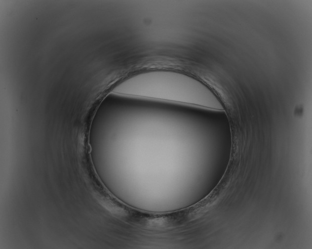 X0000090420309200707130952