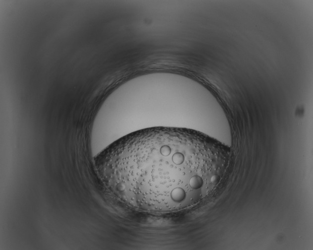 X0000090420311200707130952