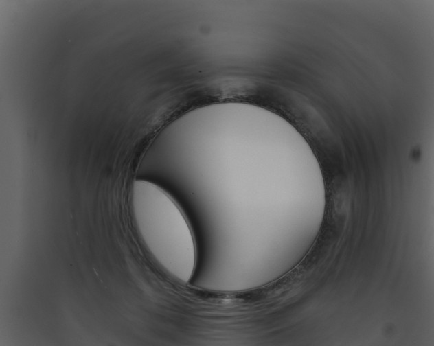 X0000090420316200707130952