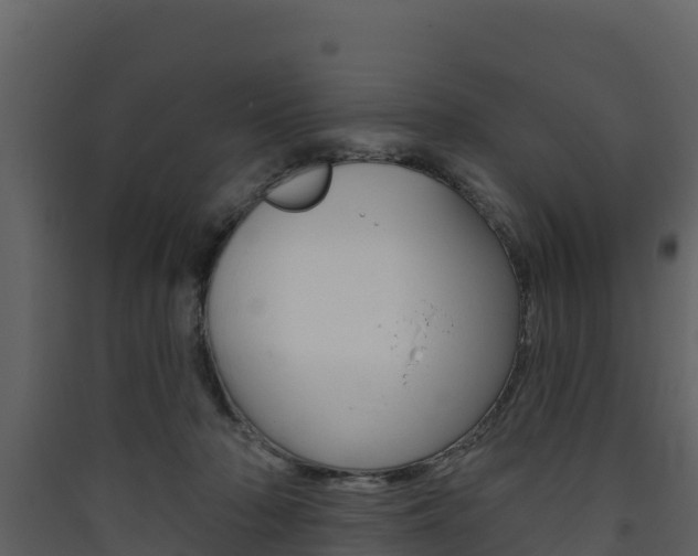 X0000090420318200707130952