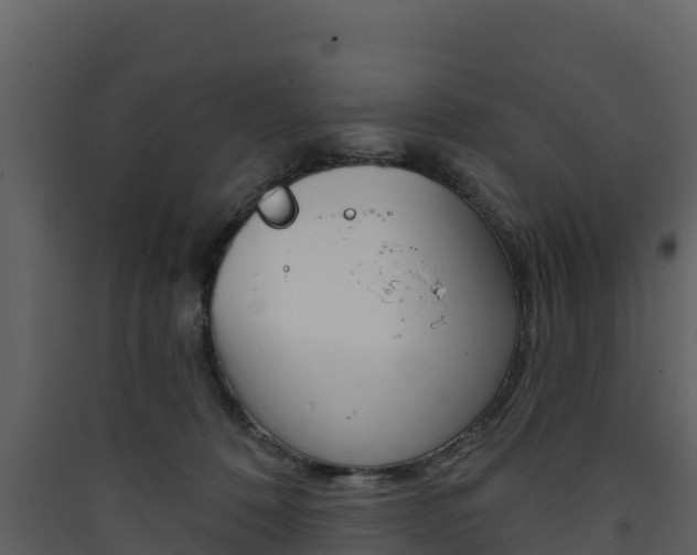 X0000090420320200707130952