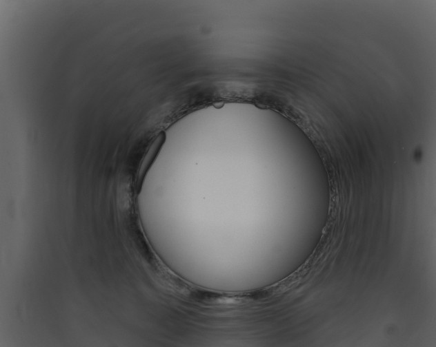 X0000090420323200707130952