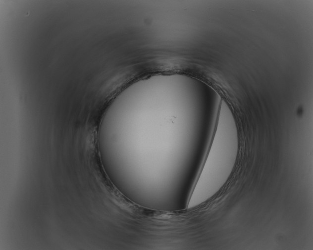 X0000090420325200707130952