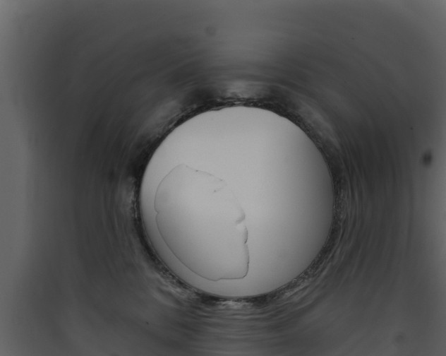 X0000090420328200707130952