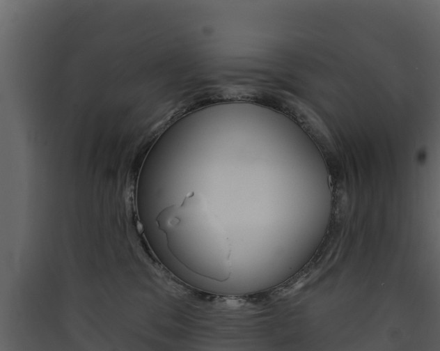 X0000090420329200707130952