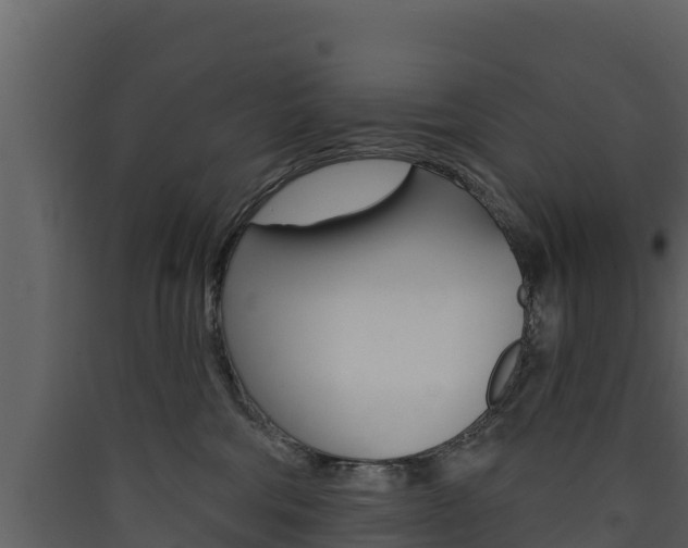 X0000090420330200707130952