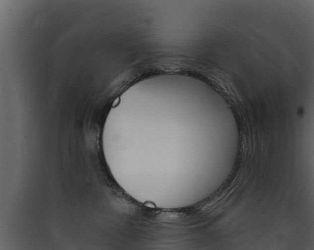 X0000090420332200707130952