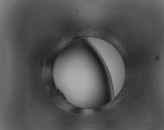 X0000090420333200707130952