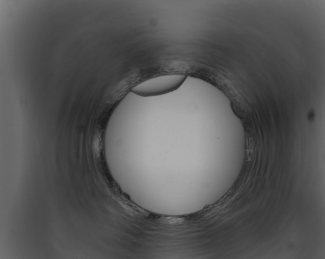X0000090420334200707130952