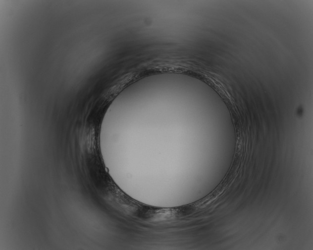 X0000090420335200707130952
