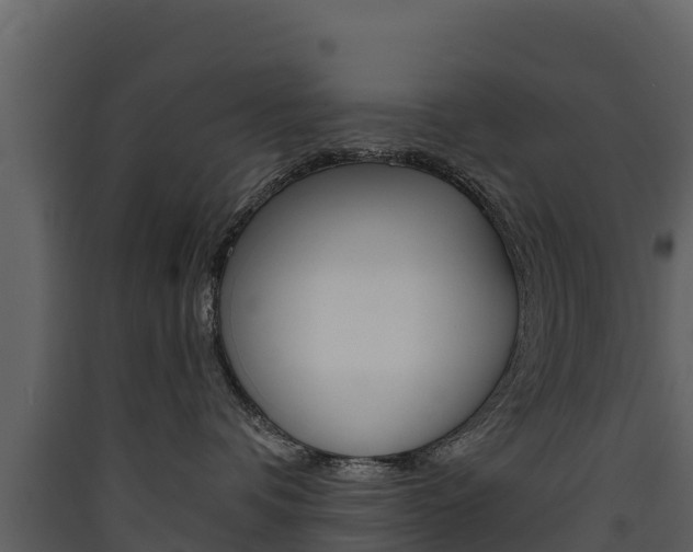 X0000090420336200707130952