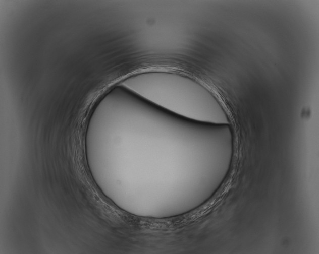 X0000090420337200707130951