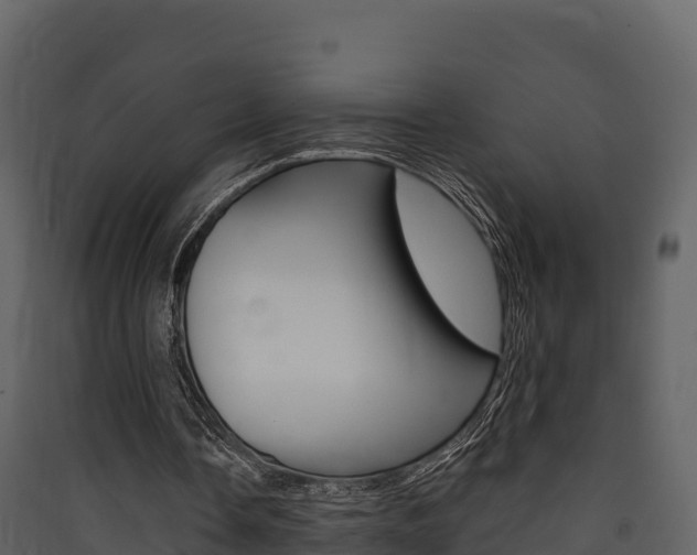 X0000090420338200707130951