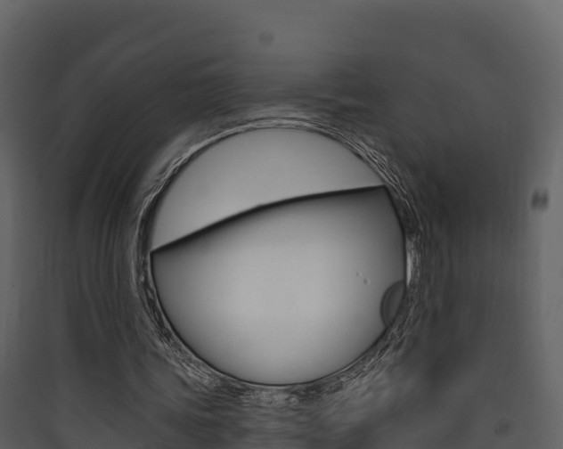 X0000090420339200707130951