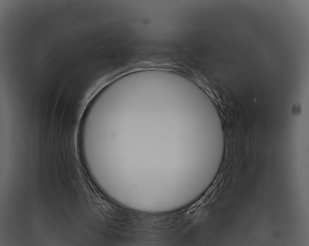 X0000090420340200707130951