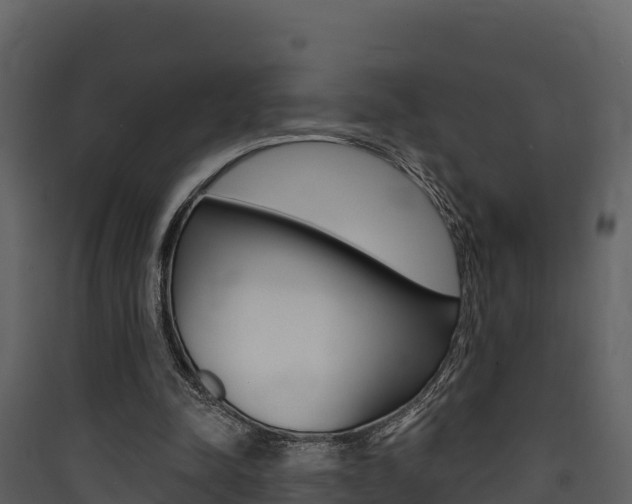 X0000090420342200707130951