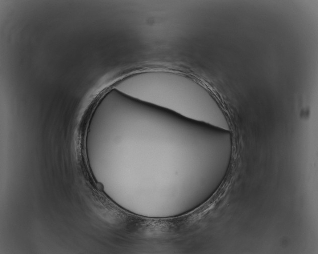 X0000090420343200707130951