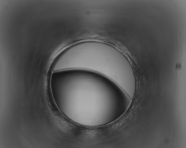 X0000090420344200707130951