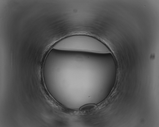 X0000090420345200707130951