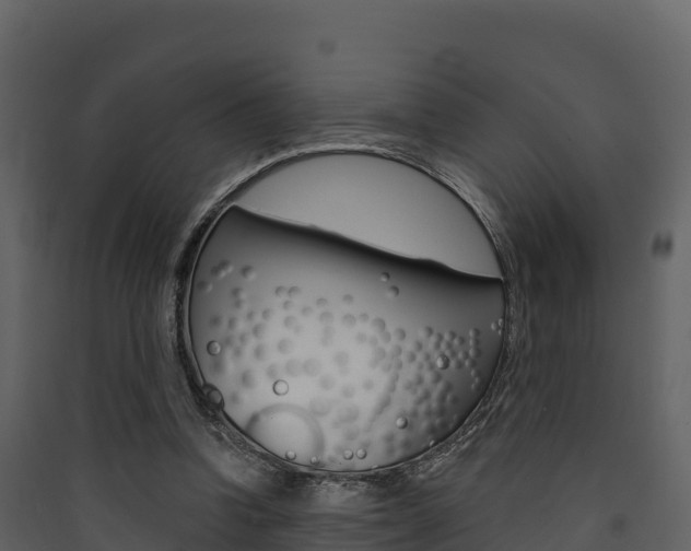 X0000090420346200707130951