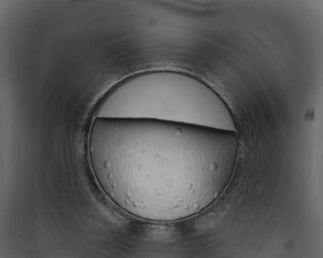 X0000090420347200707130951