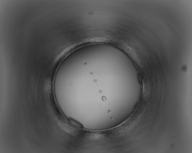 X0000090420348200707130951