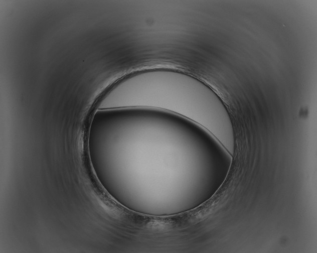 X0000090420350200707130951