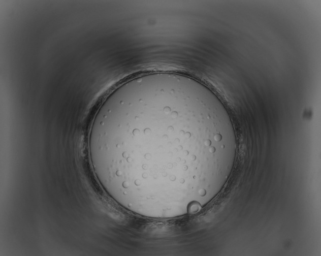 X0000090420351200707130951