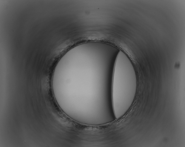 X0000090420354200707130951