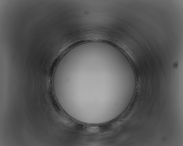 X0000090420355200707130951
