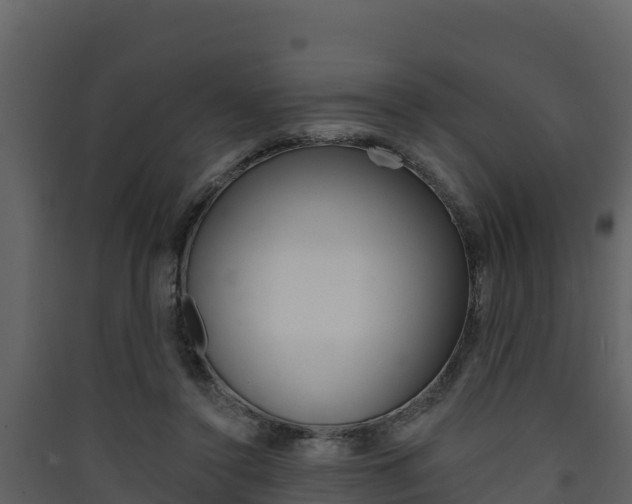X0000090420356200707130951