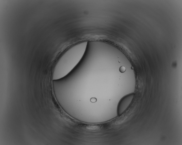 X0000090420357200707130951