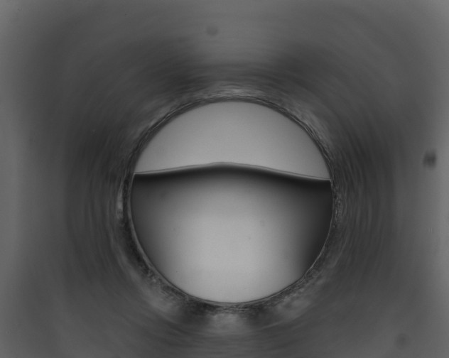 X0000090420358200707130951