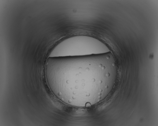 X0000090420359200707130951